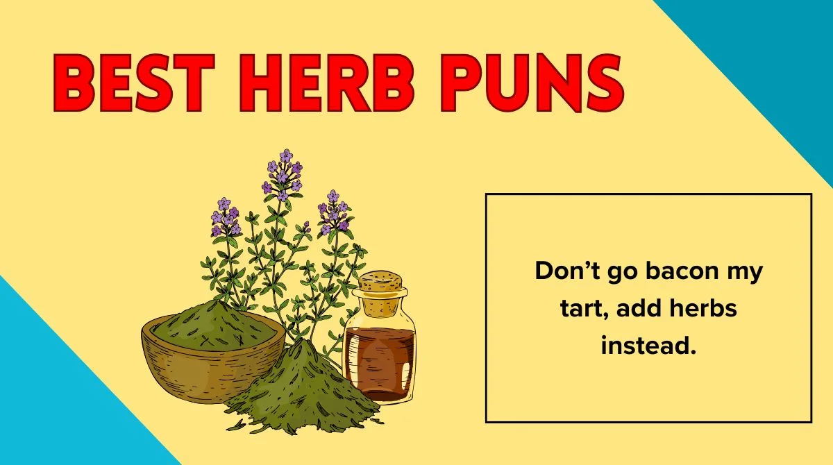 Best Herb Puns