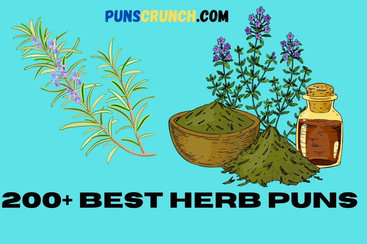 Best Herb Puns