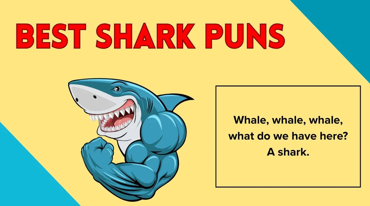 Best Shark Puns