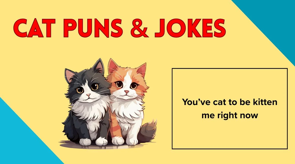 Cat Puns & Jokes