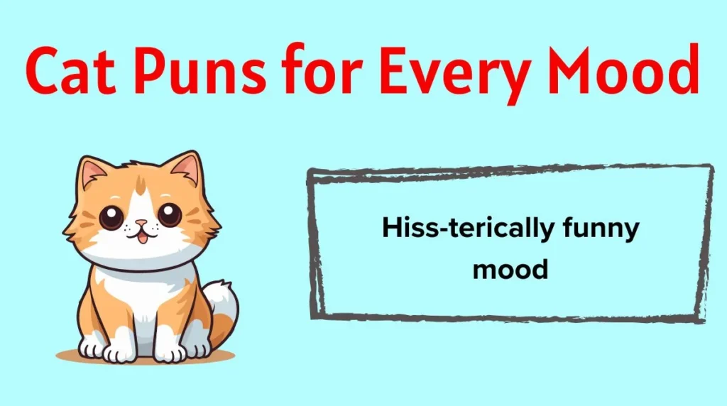Cat Puns for Every Mood