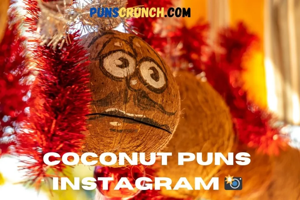 Coconut Puns Instagram  