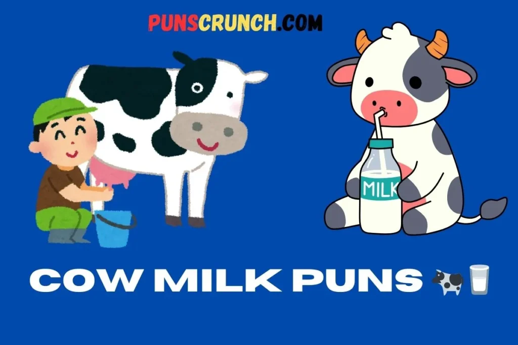 Cow Milk Puns 