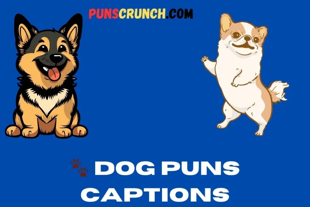    Dog Puns Captions