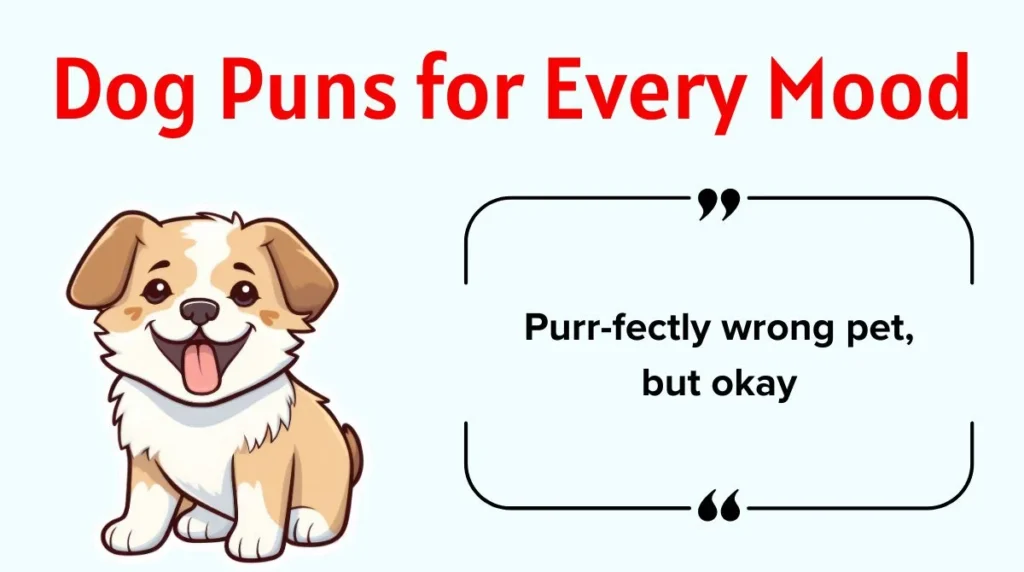 Dog Puns for Every Mood
