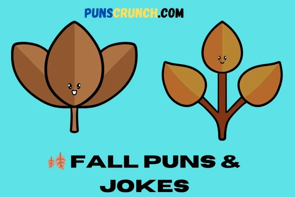 Fall Puns & Jokes
