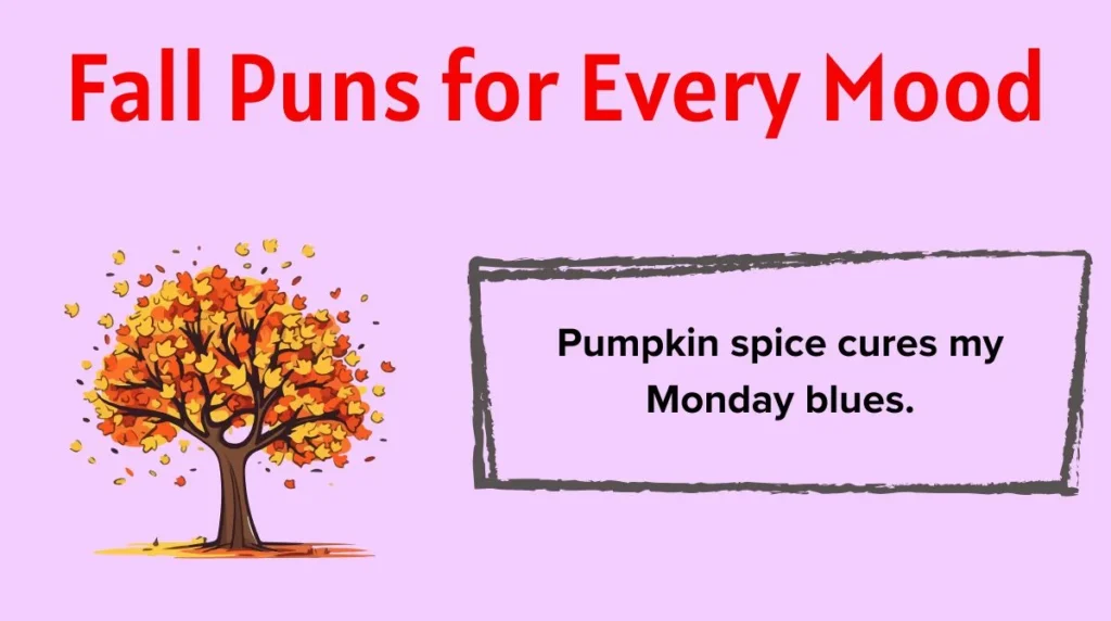 Fall Puns for Every Mood