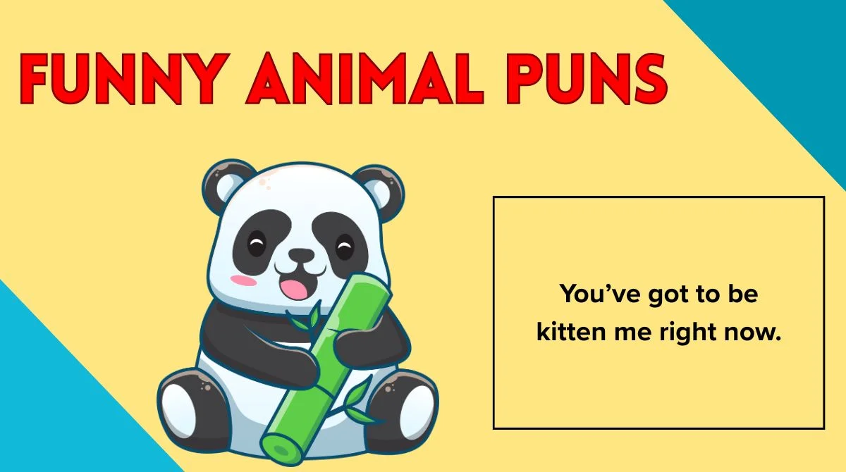 Funny Animal Puns