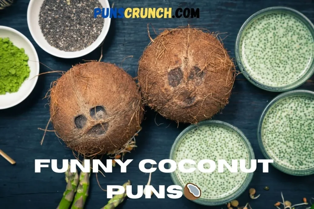 Funny Coconut Puns 