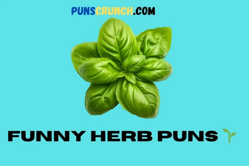 Funny Herb Puns   