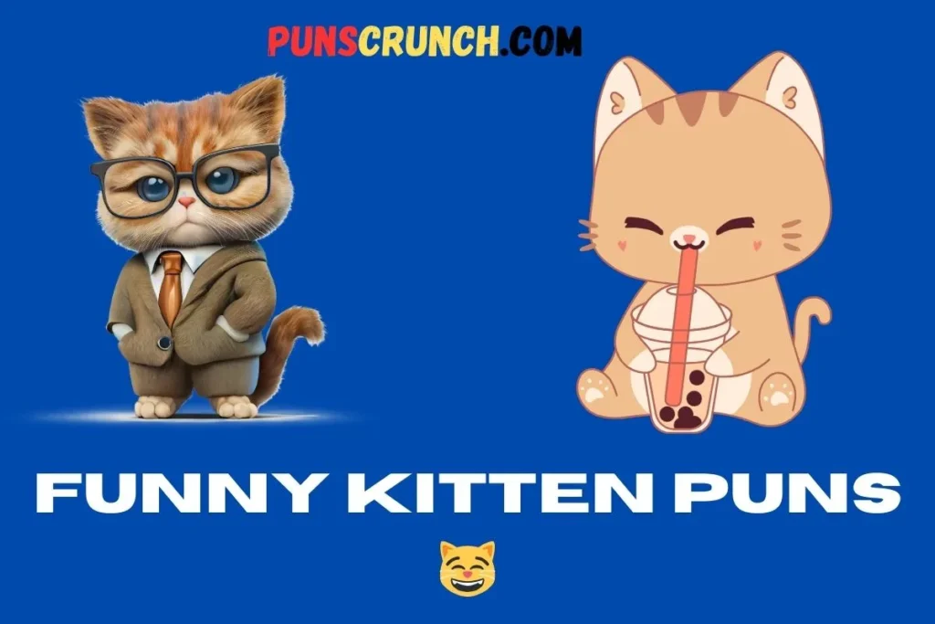 Funny Kitten Puns  