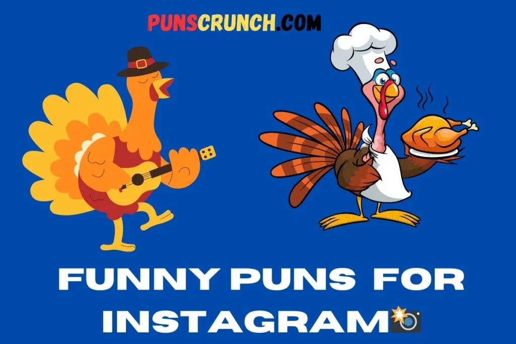 Funny Puns  For Instagram 