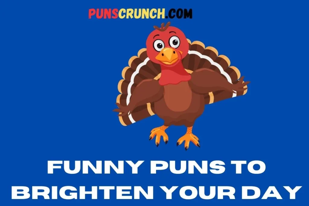 Funny Puns to Brighten Your Day  