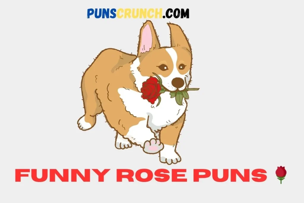 Funny Rose Puns 