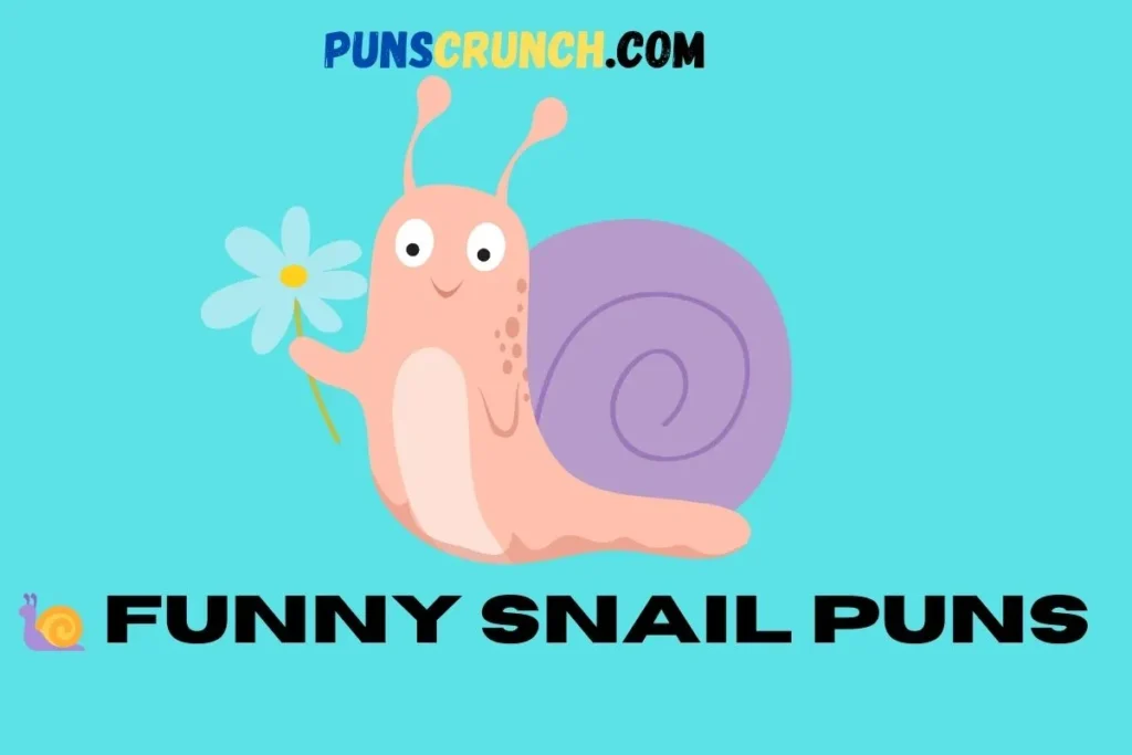   Funny Snail Puns