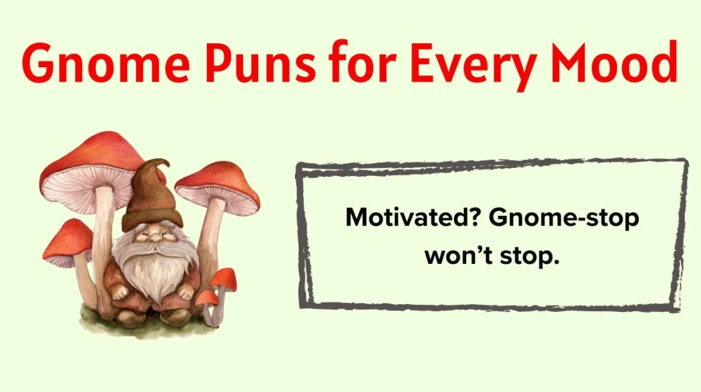 Gnome Puns for Every Mood