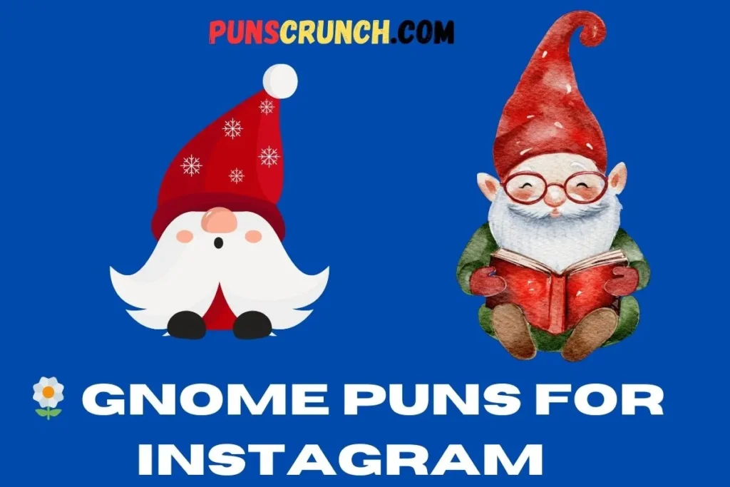   Gnome Puns For Instagram 