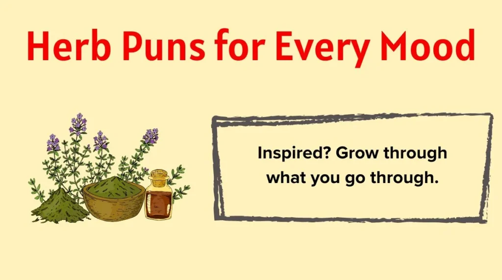 Herb Puns for Every Mood