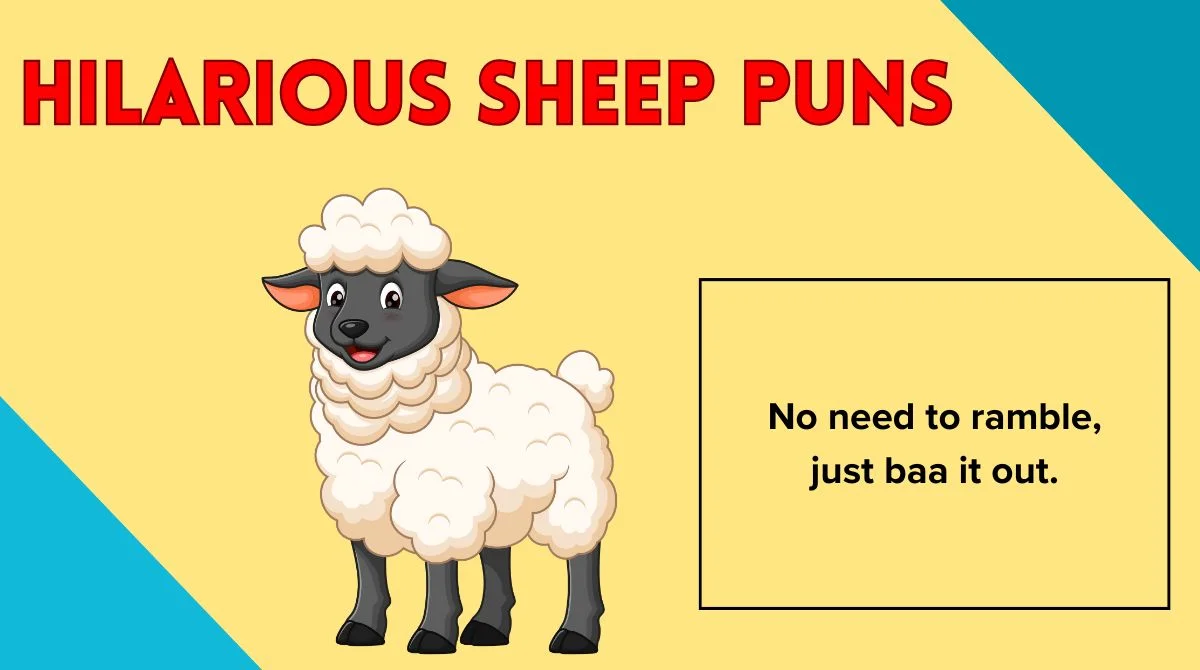 Hilarious Sheep Puns