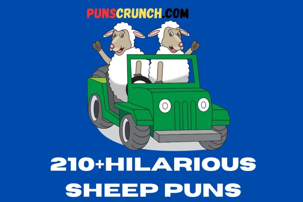 Hilarious Sheep Puns