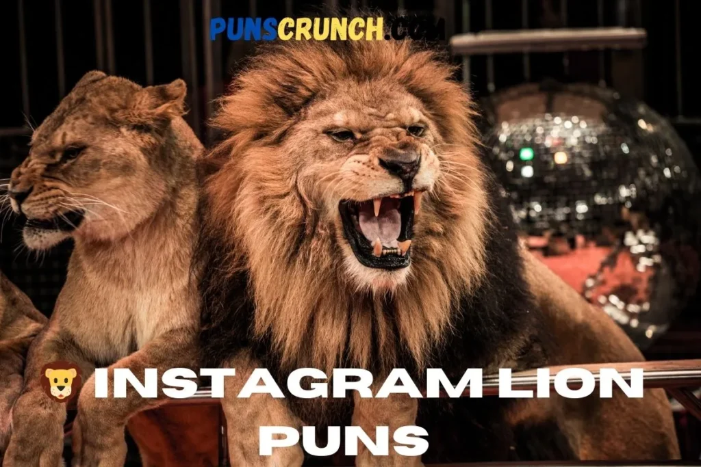  Instagram Lion Puns