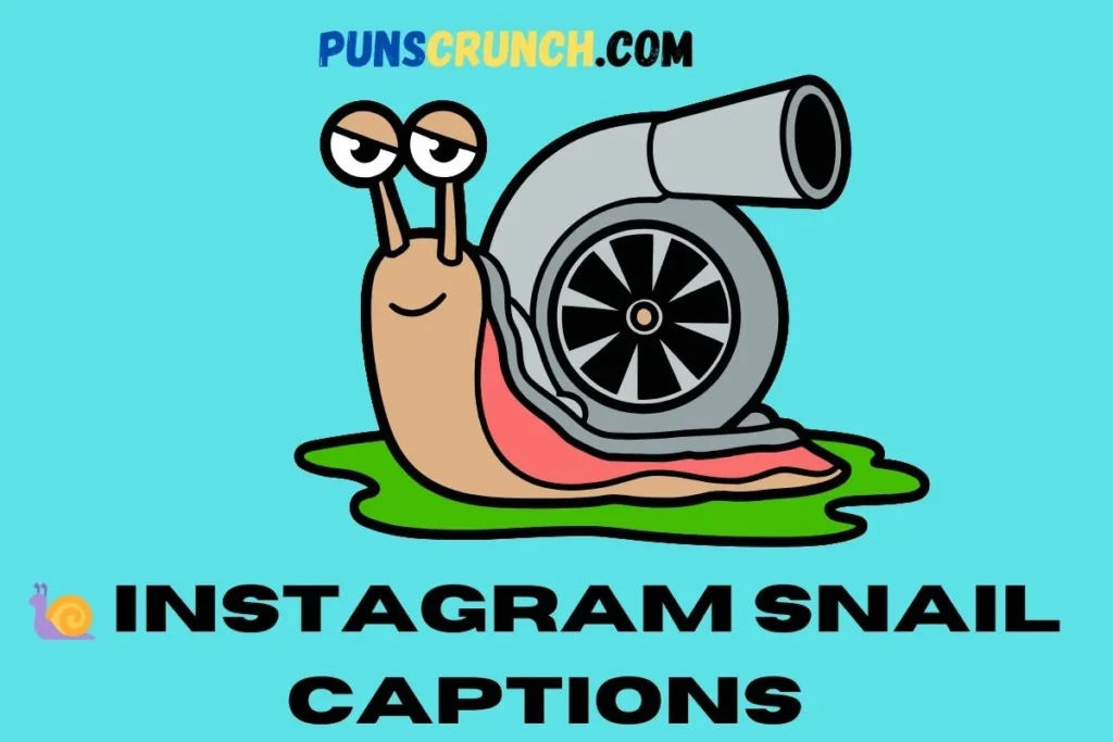   Instagram Snail Captions