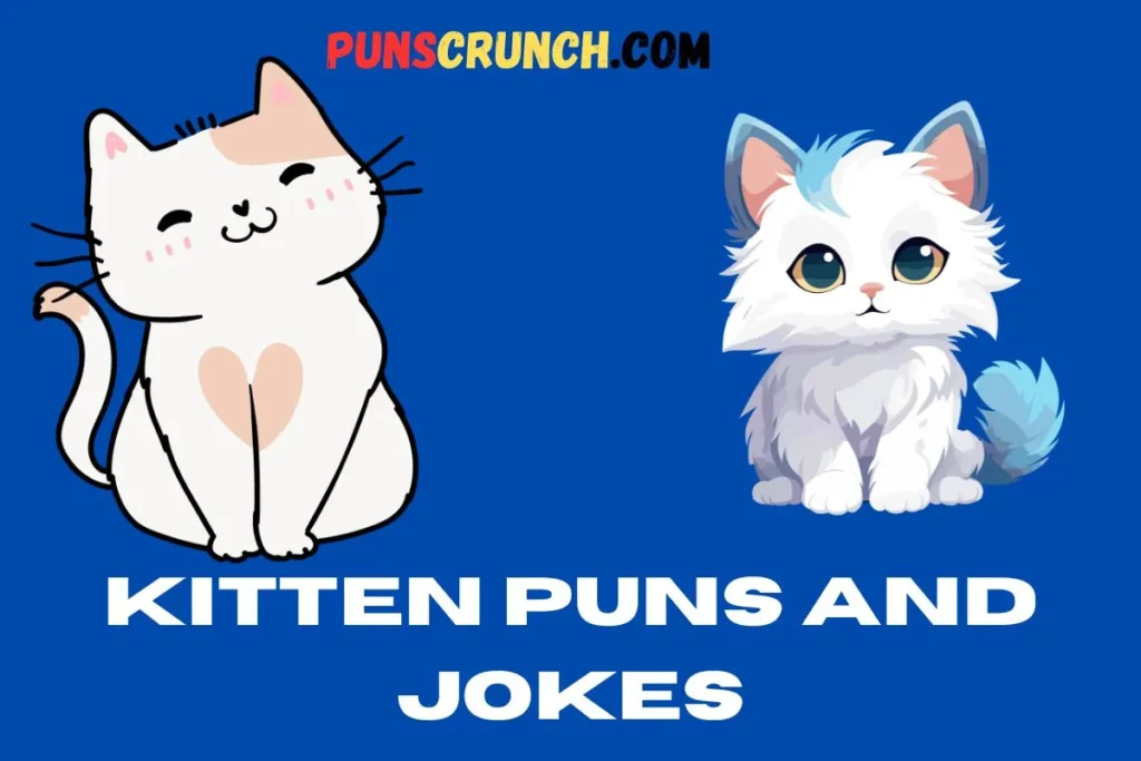 Kitten Puns And Jokes