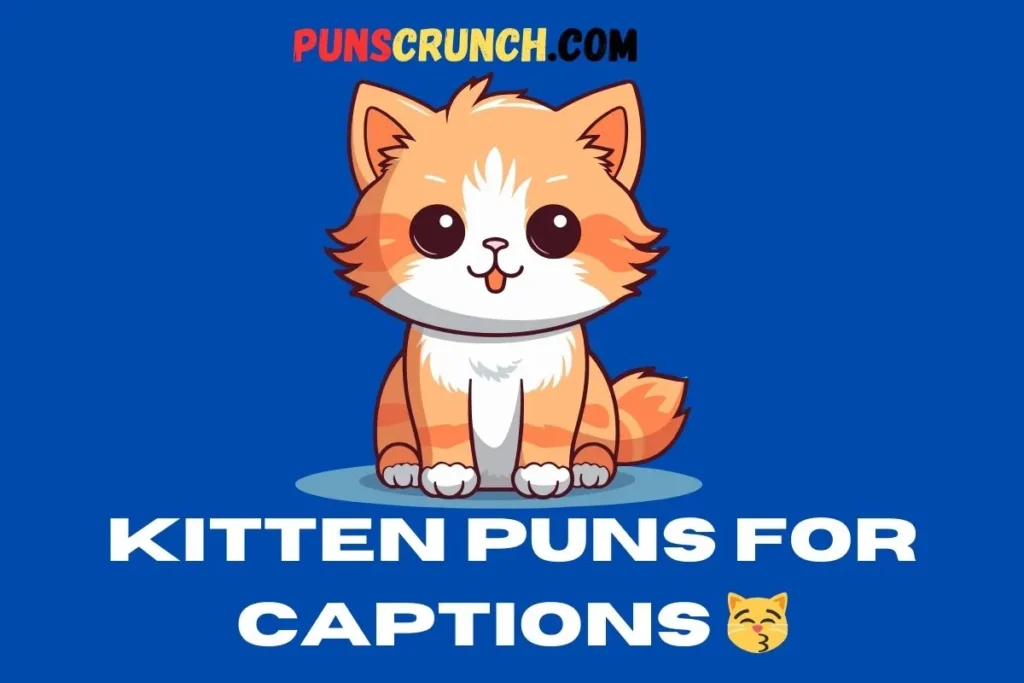 Kitten Puns for Captions  