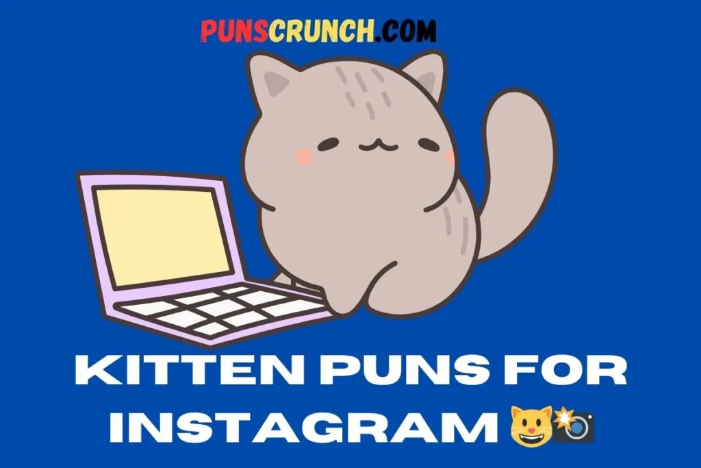 Kitten Puns For Instagram  