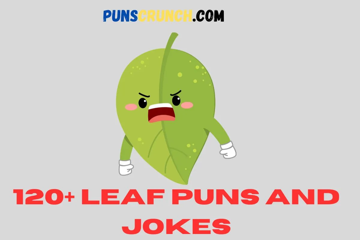 Leaf Puns And Jokes