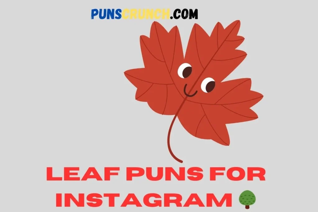 Leaf Puns For Instagram  