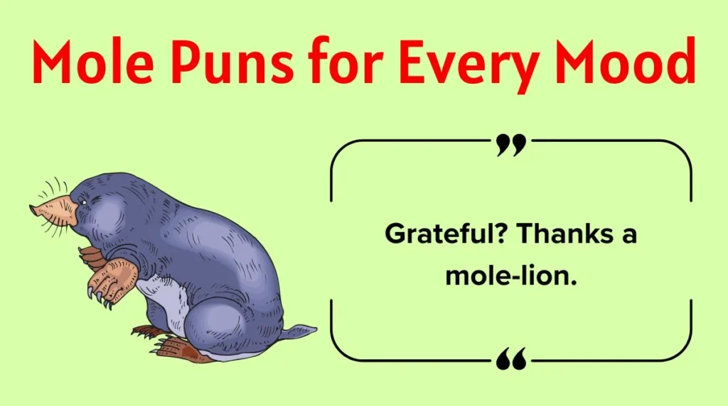 Mole Puns for Every Mood