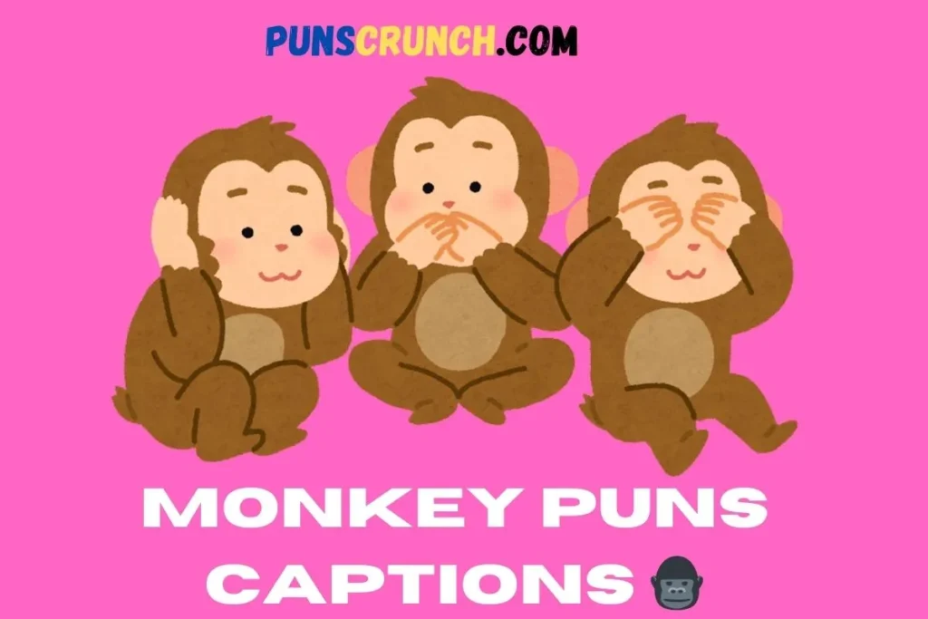Monkey Puns Captions  