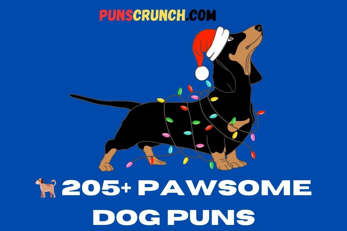 Pawsome Dog Puns