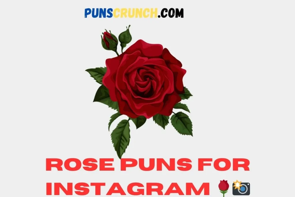 Rose Puns For Instagram  