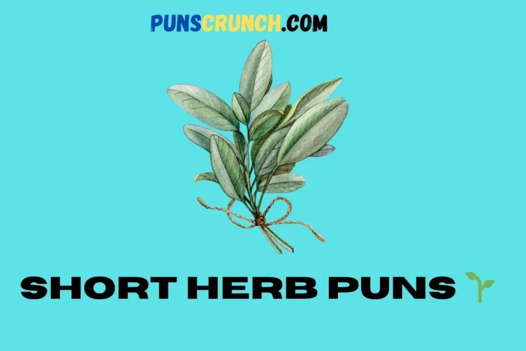 Short Herb Puns  