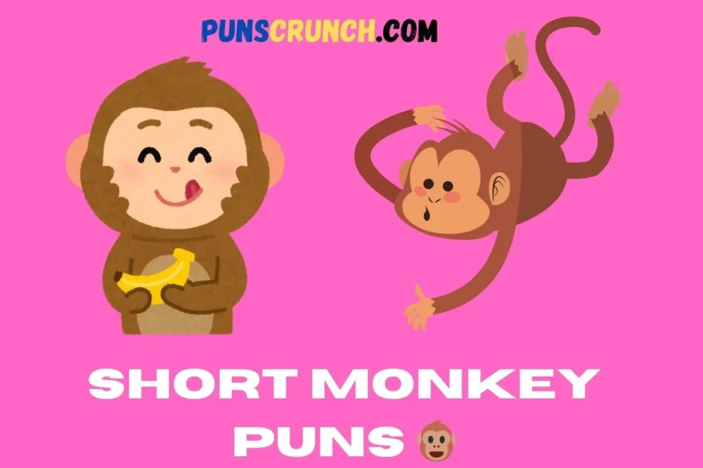 Short Monkey Puns  