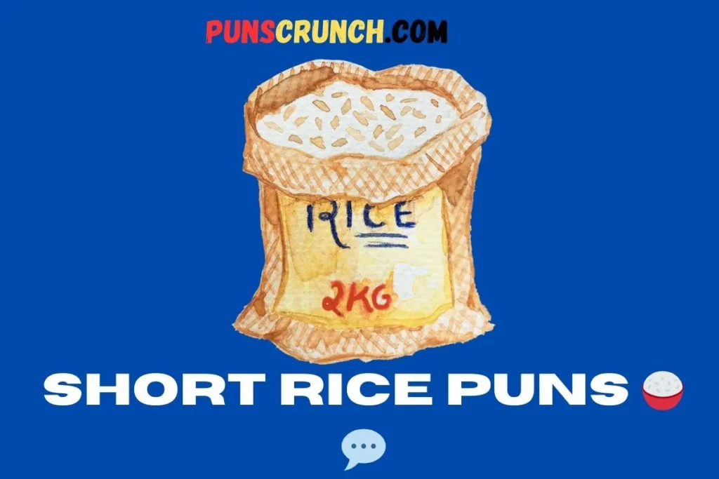 Short Rice Puns  