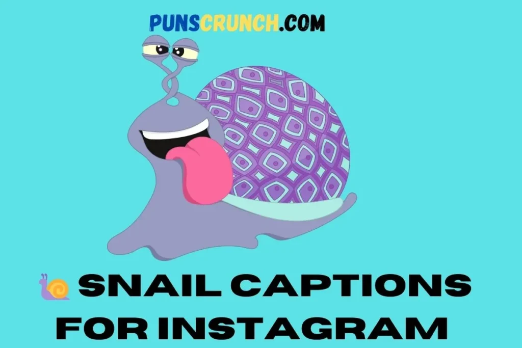  Snail Captions for Instagram 