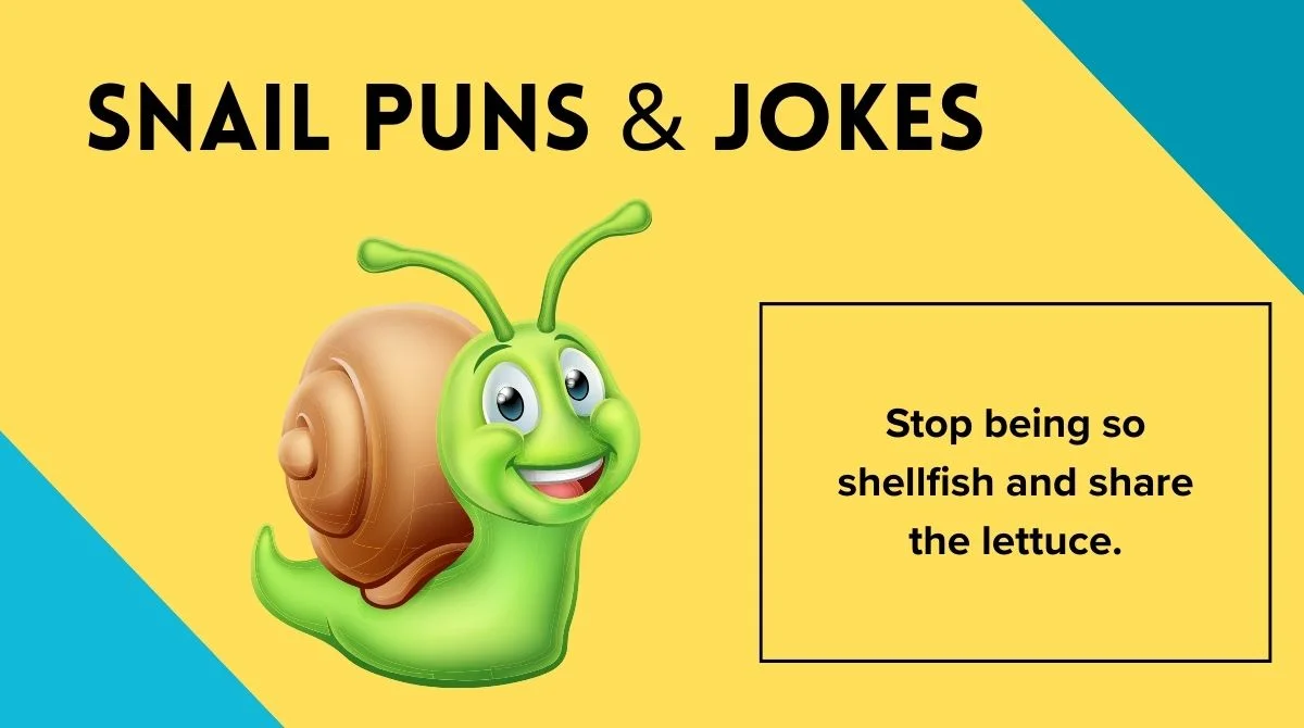 Snail Puns & Jokes