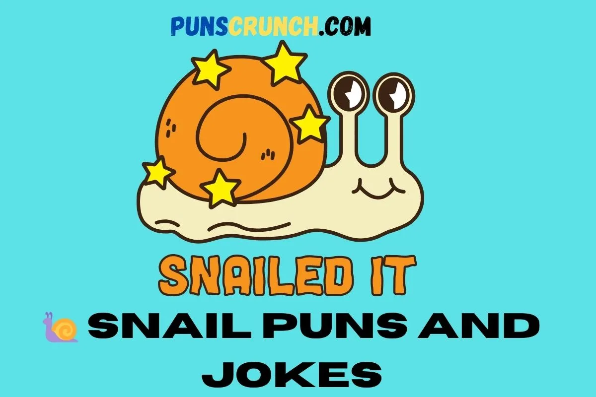 Snail Puns And Jokes