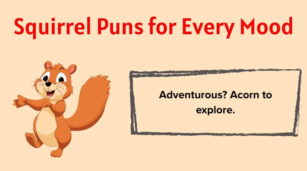 Squirrel Puns for Every Mood