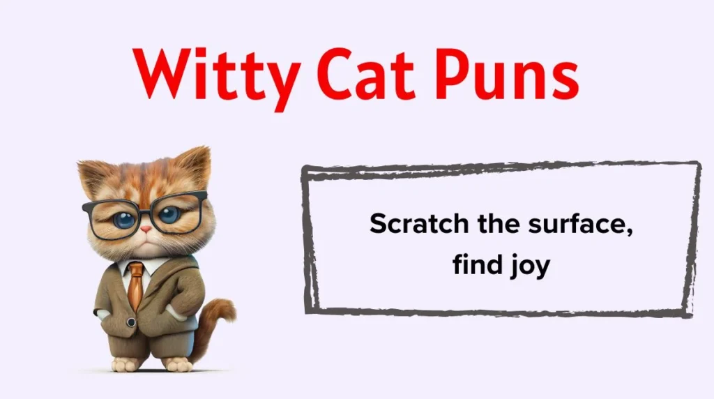 Witty Cat Puns