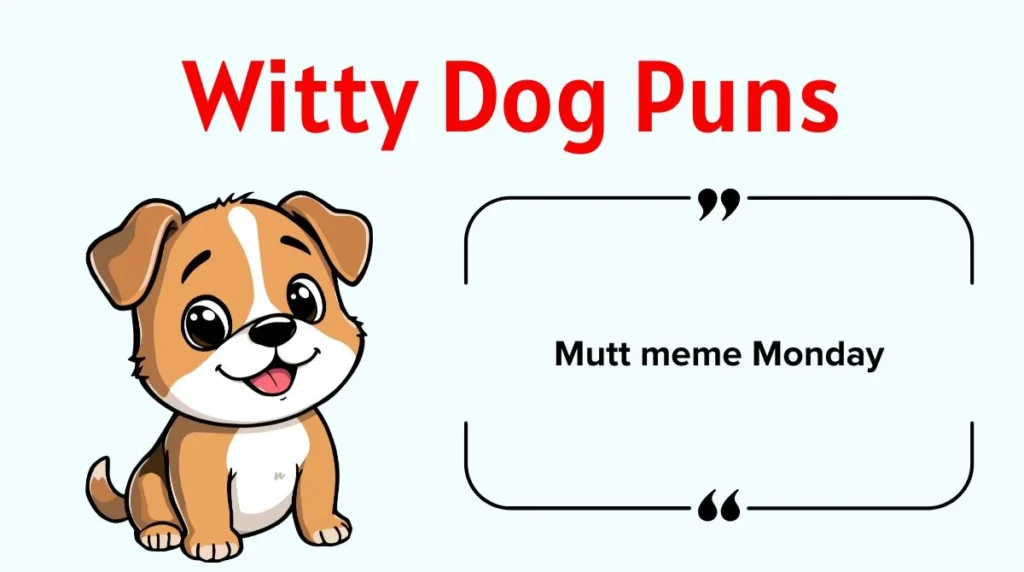 Witty Dog Puns