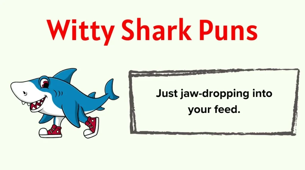 Witty Shark Puns