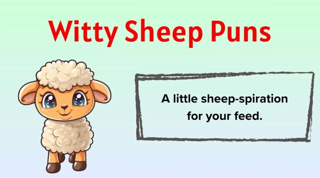 Witty Sheep Puns