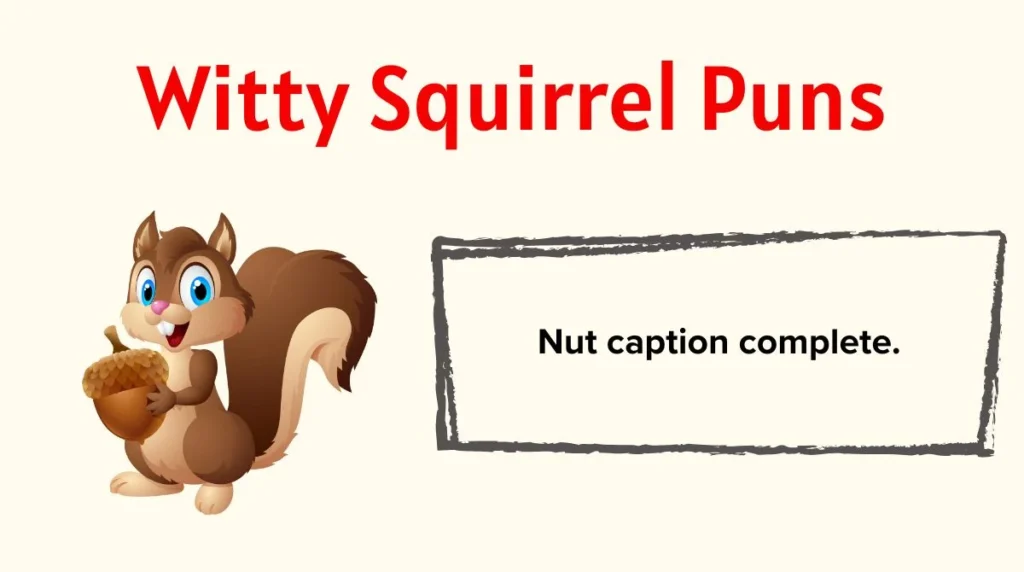 Witty Squirrel Puns