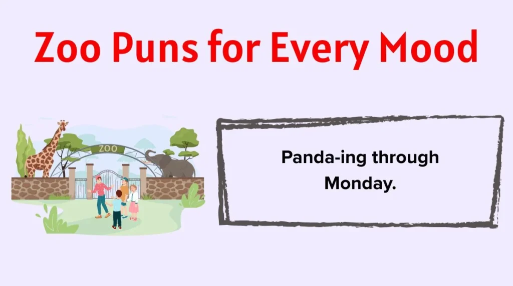 Zoo Puns for Every Mood
