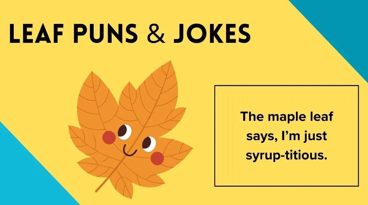 Leaf Puns & Jokes