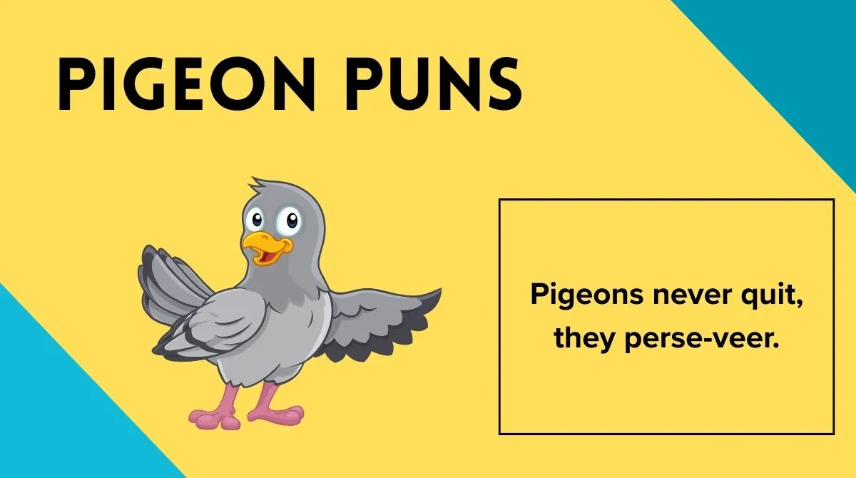 Pigeon Puns